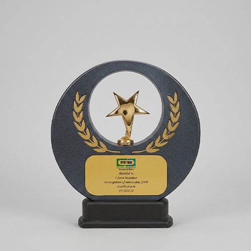 IFFCO TOKIO General Insurance Co. Ltd.- Outstanding GWP (Gross Written Premium) Award