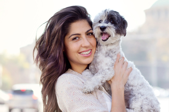 Pet Insurance